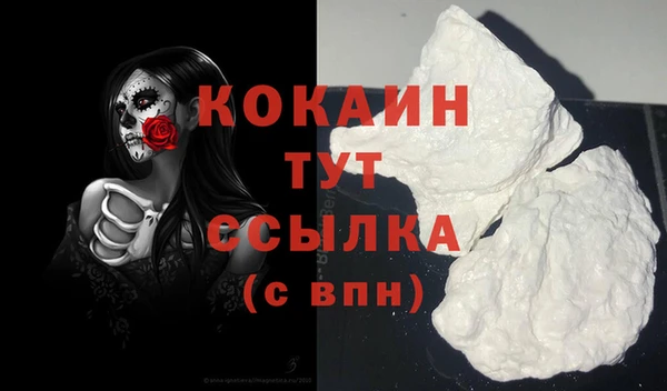 прущая мука Богородицк