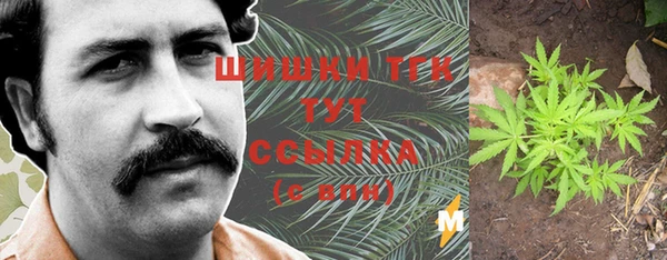 шишки Богданович
