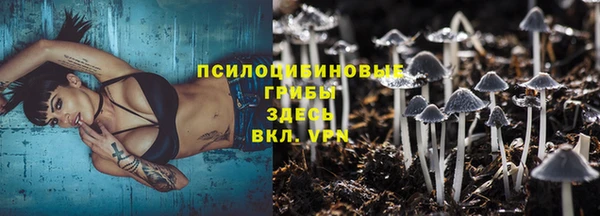 шишки Богданович