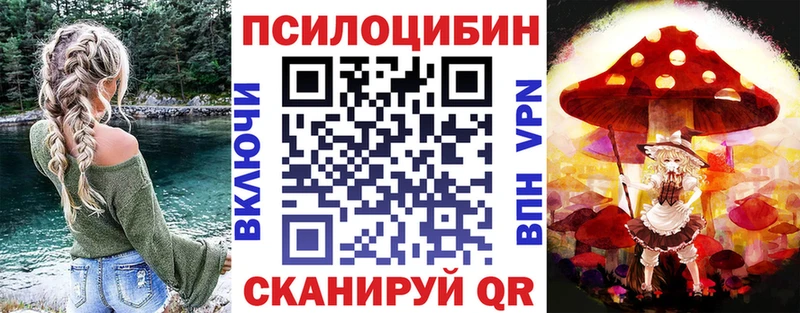 Псилоцибиновые грибы Cubensis  Бор 