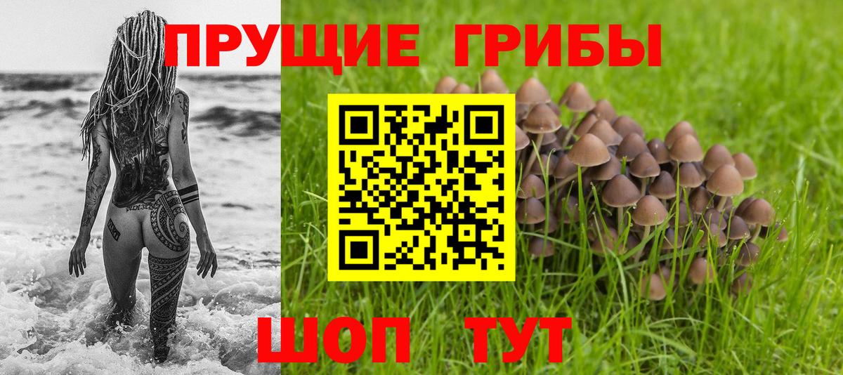 Галлюциногенные грибы MAGIC MUSHROOMS  купить наркоту  Бор 