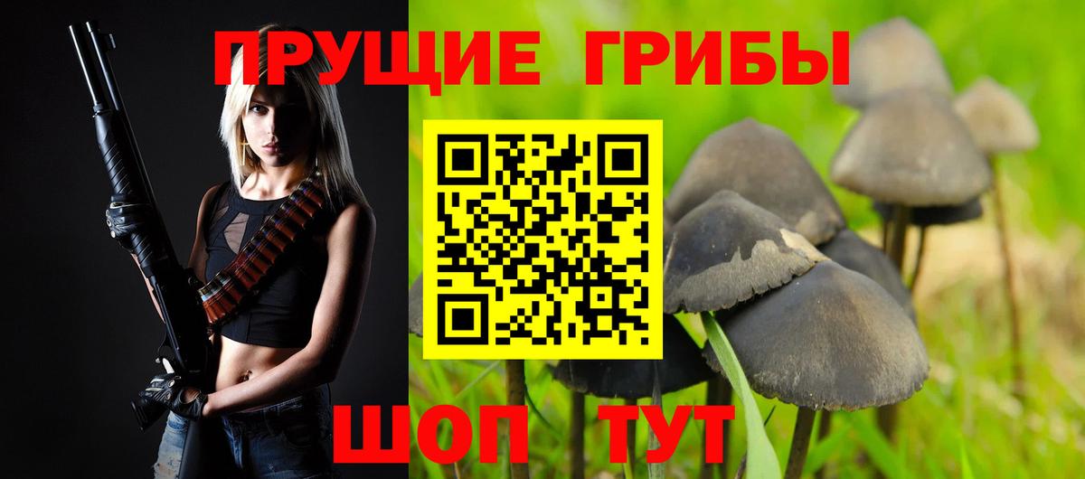 Псилоцибиновые грибы GOLDEN TEACHER  Псилоцибиновые грибы MAGIC MUSHROOMS  Бор  Вход с VPN 